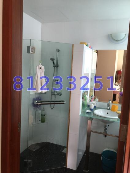 Park Green (D19), Condominium #66700722